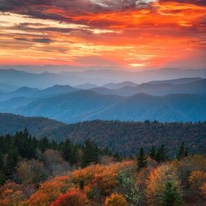 Reformation, Vince, Alo Yoga, J. Crew